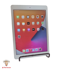 iPad Air 2
